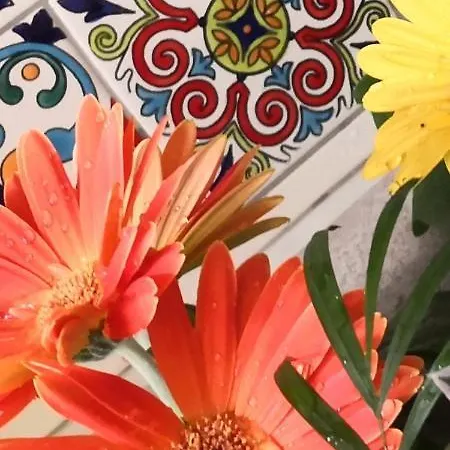 Tatil Evi La Limesa, Antica Dimora Con Volte A Stella